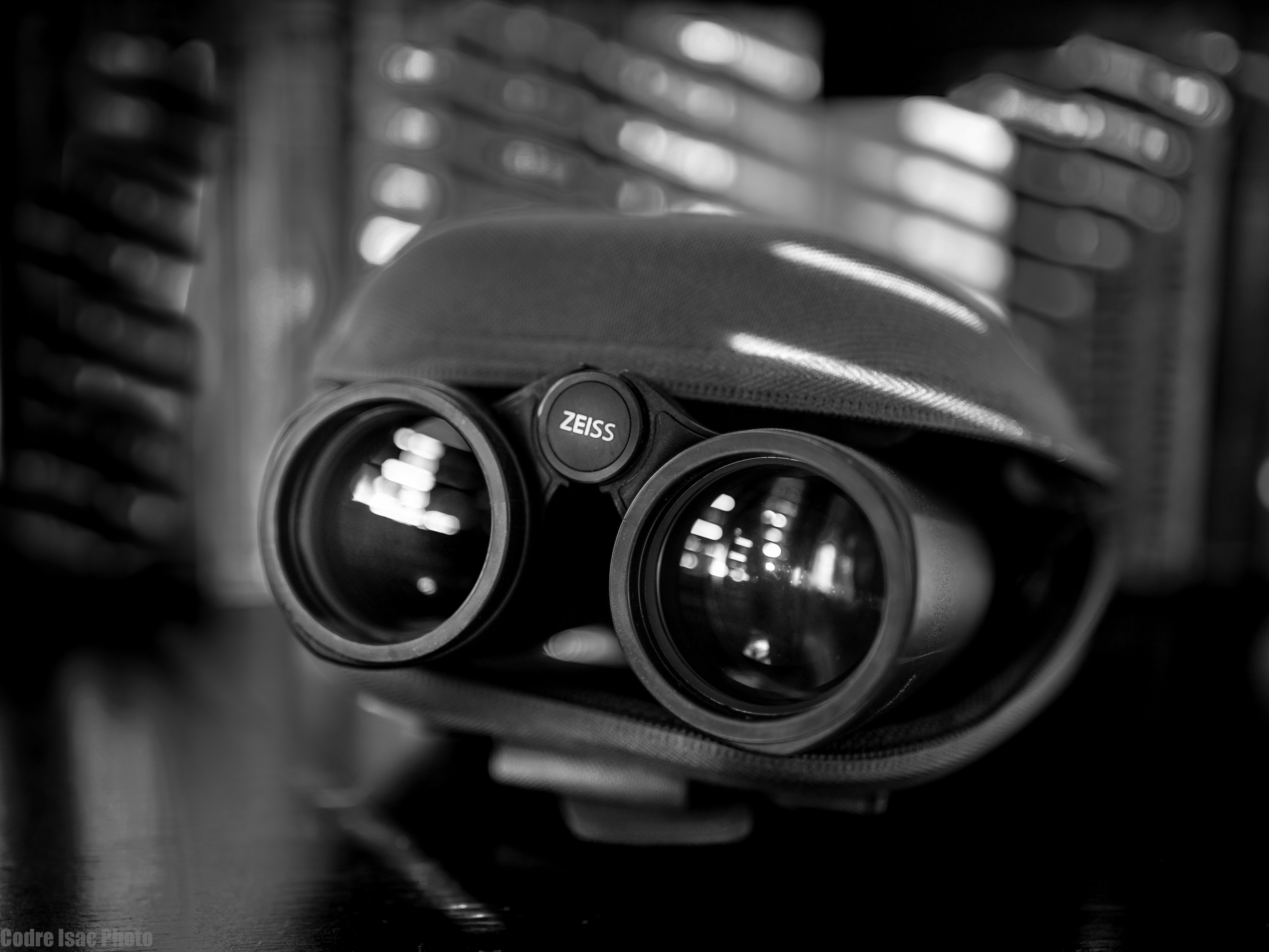 Zeiss Victory SF 10x42.JPG