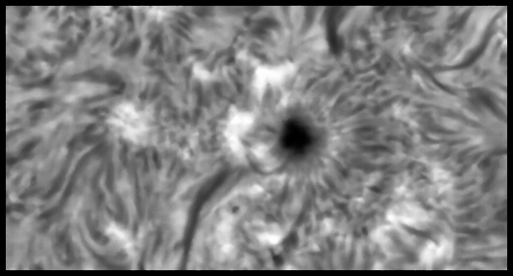 ZZ PS1 red 1000 JG.jpg