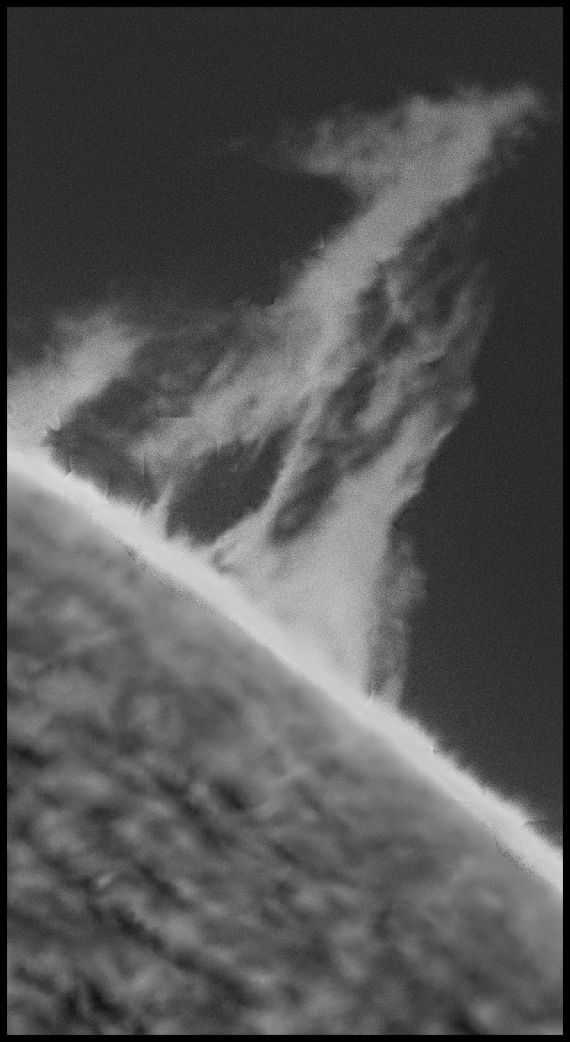 ZZ PS1 red 1500 JG.jpg