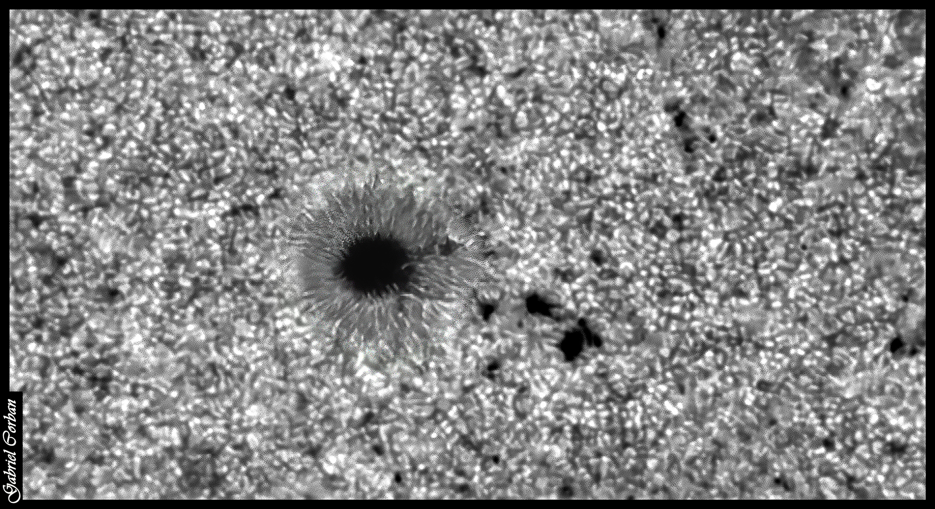 ZZ PS5 GT tx JG red CW.jpg